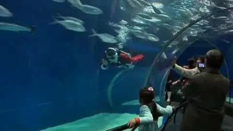 Papá Noel bajo el agua Papá Noel bajo el agua