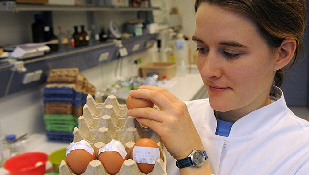 Muestra de huevos afectados por dioxinas