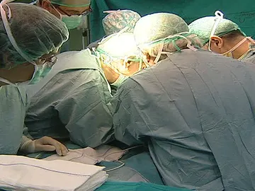 Operación de trasplante Operación de trasplante