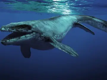 'Sea Rex', cuando los dinosaurios eran anfibios 'Sea Rex', cuando los dinosaurios eran anfibios