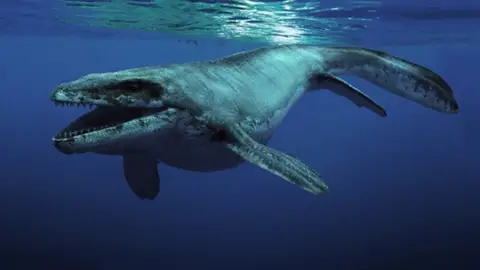 'Sea Rex', cuando los dinosaurios eran anfibios 'Sea Rex', cuando los dinosaurios eran anfibios