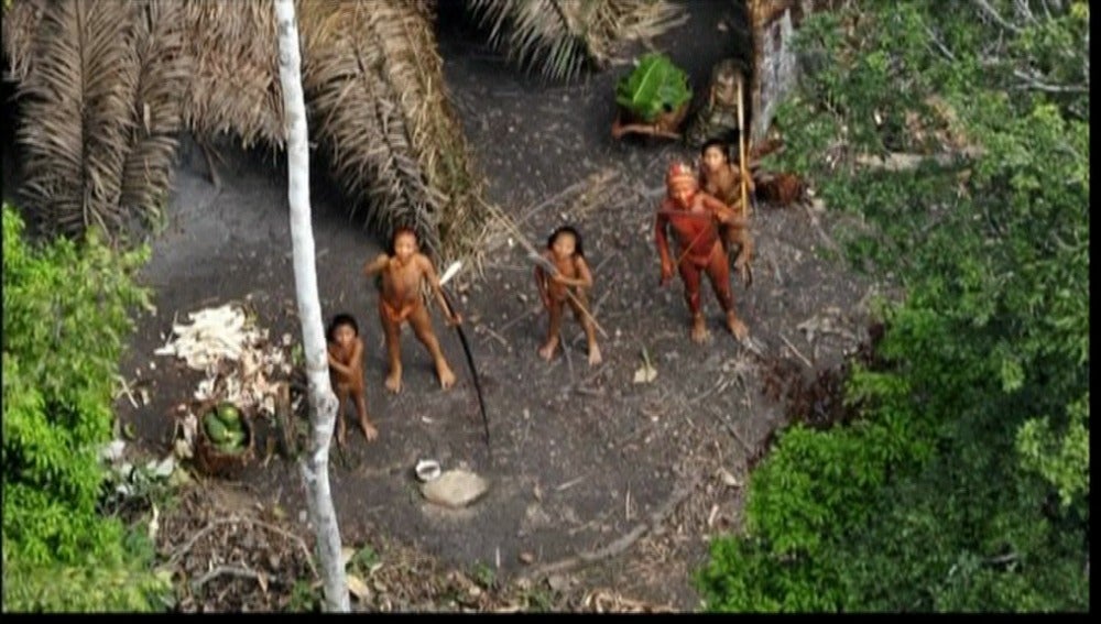 Tribu indígena 