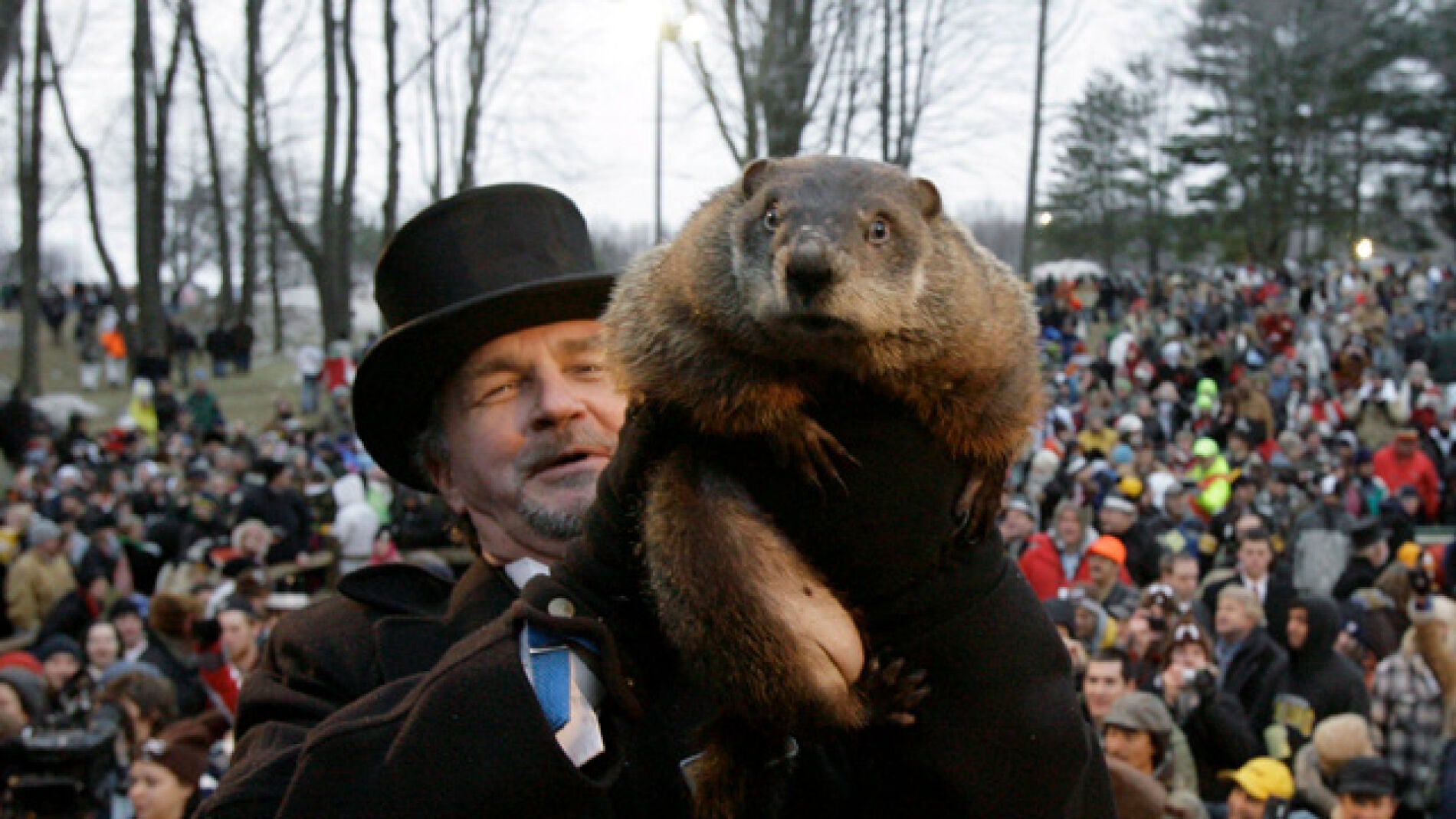 Phil de Punxsutawney