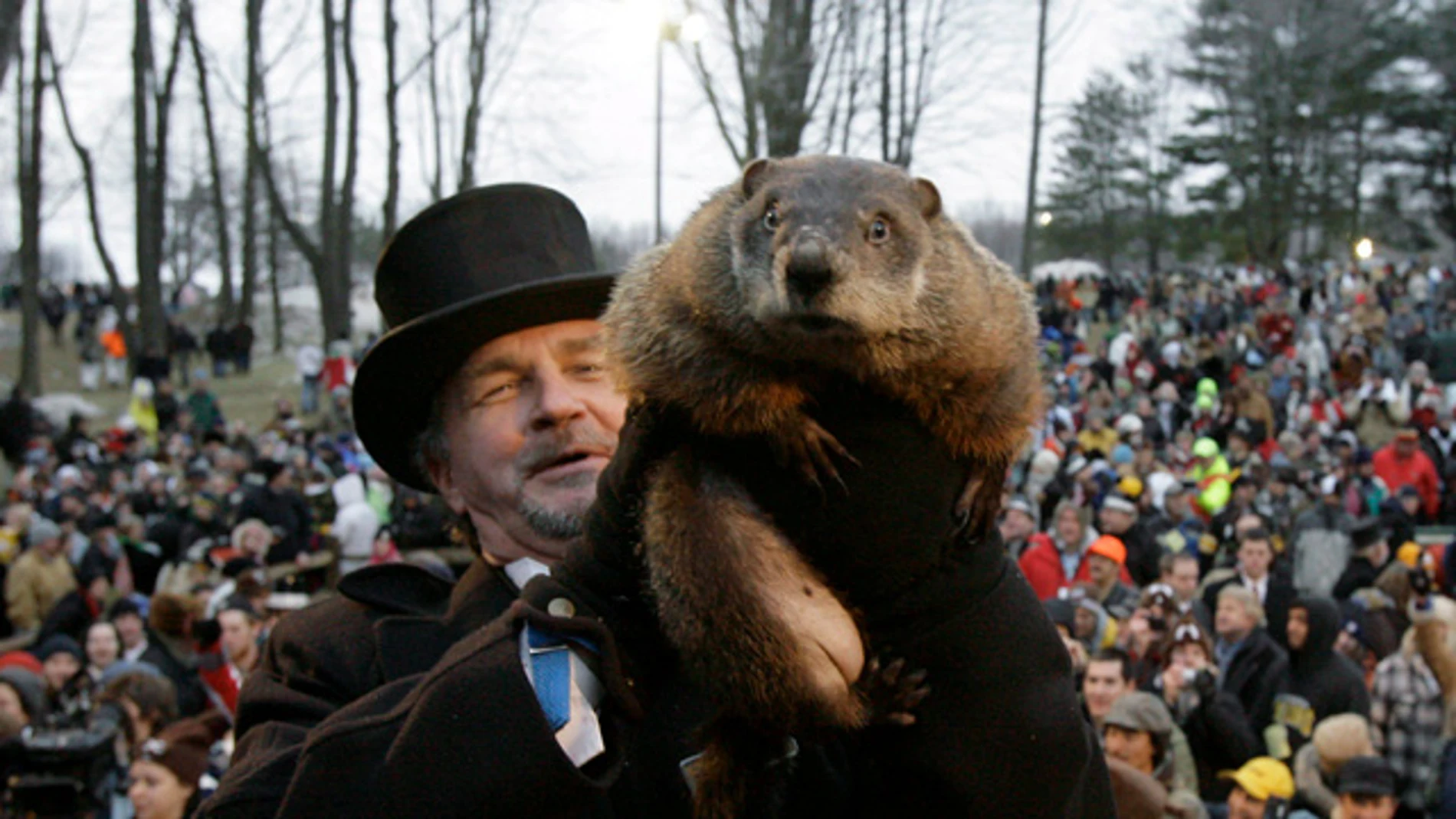Phil de Punxsutawney Phil de Punxsutawney