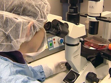 Investigación en el laboratorio Investigación en el laboratorio