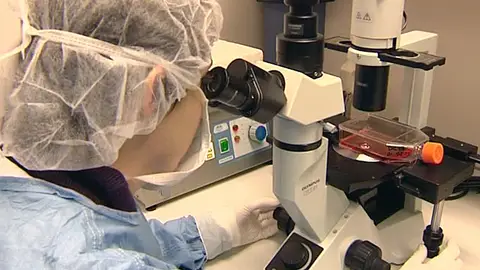 Investigación en el laboratorio Investigación en el laboratorio