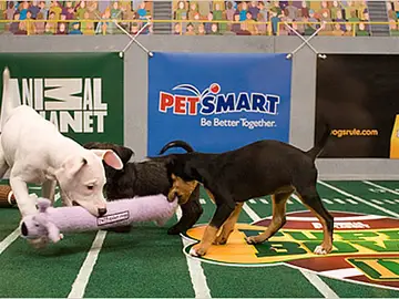 Puppy Bowl Puppy Bowl