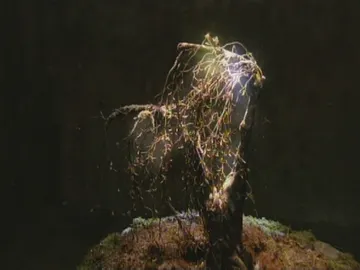 ¿Qué poder tiene la planta? ¿Qué poder tiene la planta?