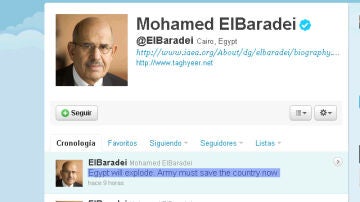 EBaradei en su Twitter