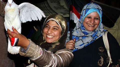 Palomas blancas en Egipto
