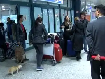 La comunidad internacional está evacuando Libia La comunidad internacional está evacuando Libia