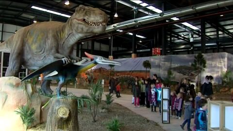 Exposici&oacute;n de dinosaurios