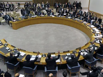 Consejo de Seguridad de la ONU Consejo de Seguridad de la ONU