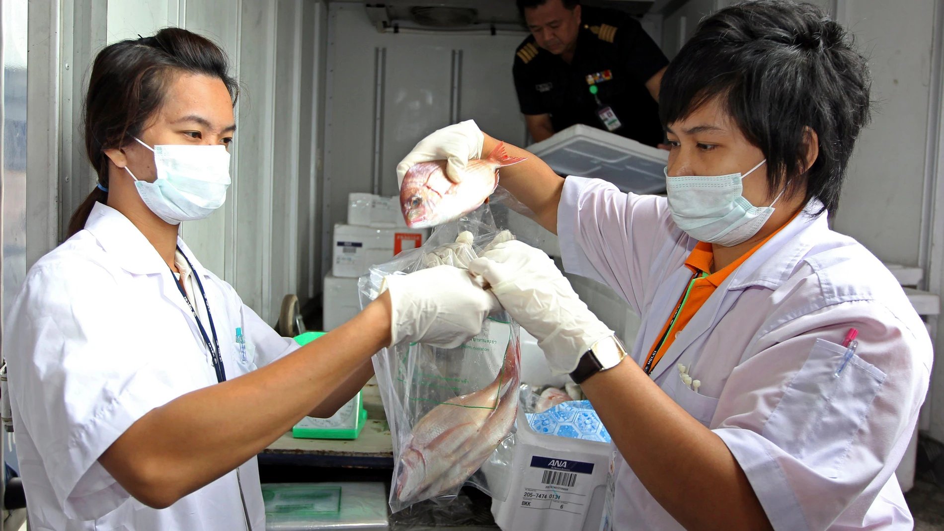 Control de alimentos que provienen de Japón Control de alimentos que provienen de Japón