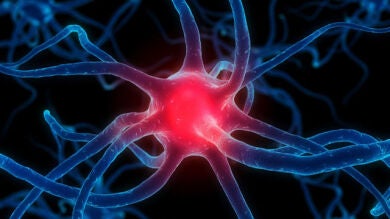 Diseñan un sistema portátil para controlar los movimientos de enfermos de Parkinson 