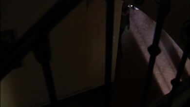 Leo descubre la casa