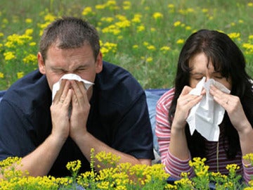 La alergia al polen, cada vez más extendida