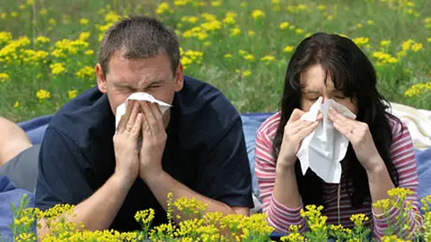 La alergia al polen, cada vez más extendida La alergia al polen, cada vez más extendida