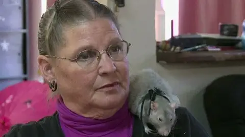 Danni Moore, dueña del terapéutico animal Danni Moore, dueña del terapéutico animal