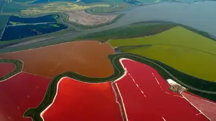 La bahía de San Francisco deja unas curiosas tonalidades vista desde el aire La bahía de San Francisco deja unas curiosas tonalidades vista desde el aire