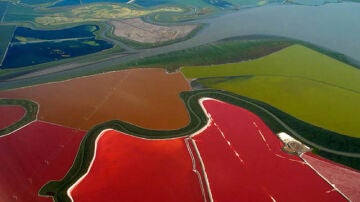La bahía de San Francisco deja unas curiosas tonalidades vista desde el aire