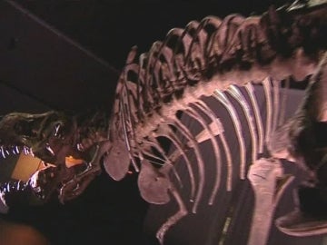 Museo de dinosaurios en Teruel