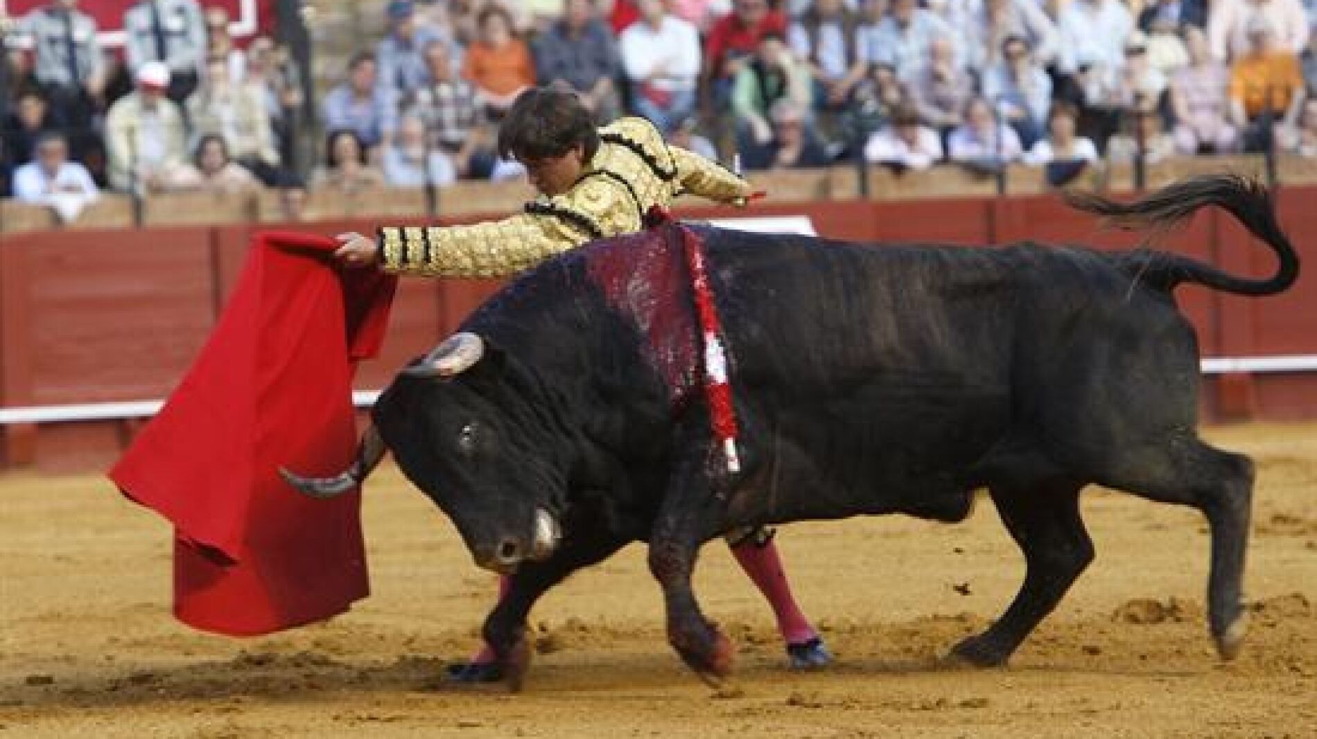 Antonio Barrera en la Feria de Abril