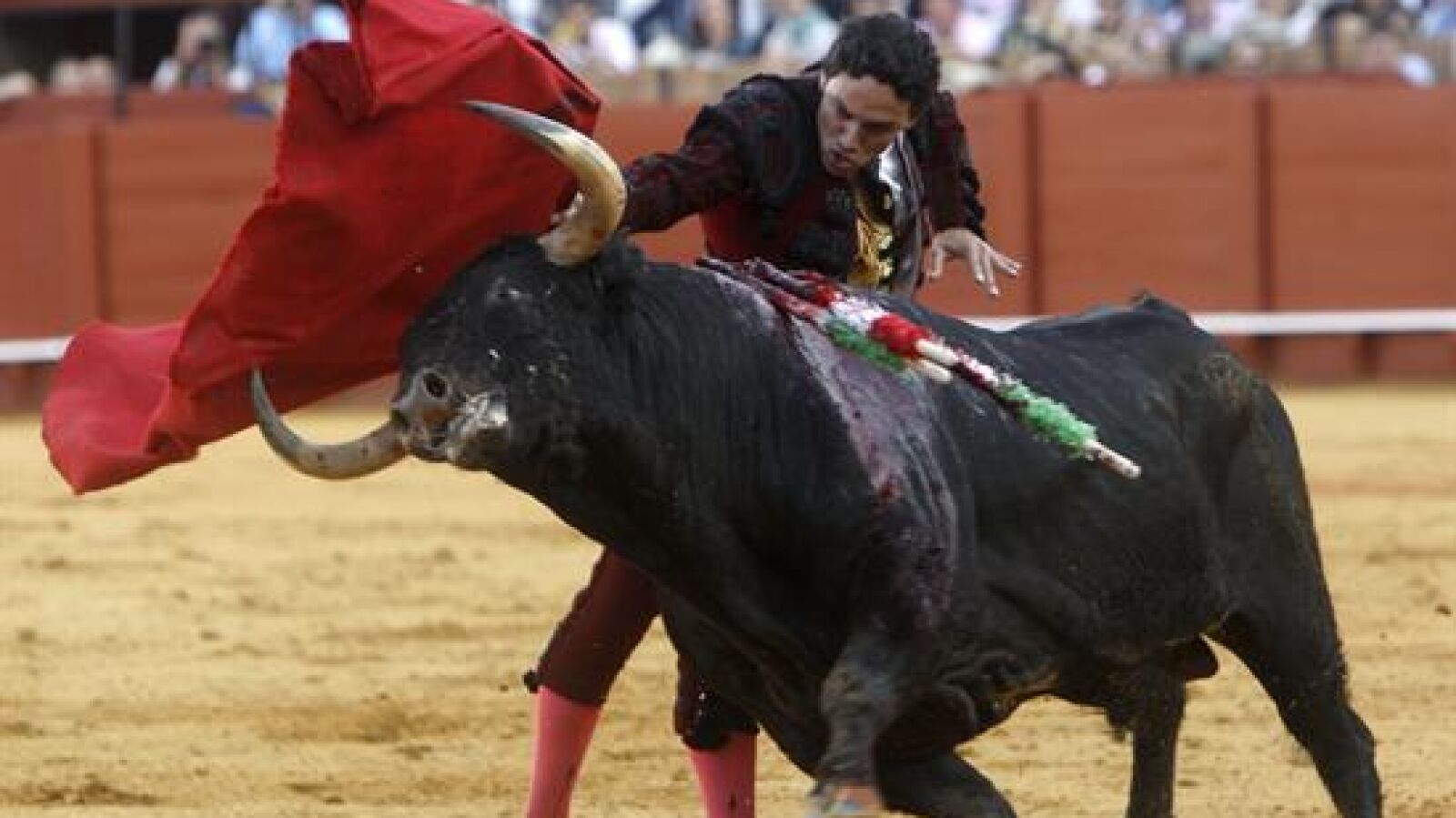 Los Alcurrucén dejan a los toreros sin premio