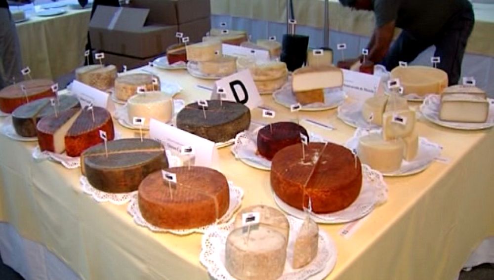 Lo mejor del campo en Agrocanarias