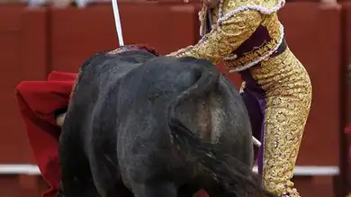 Salvador Cortés, vuelta con sabor a triunfo Salvador Cortés, vuelta con sabor a triunfo