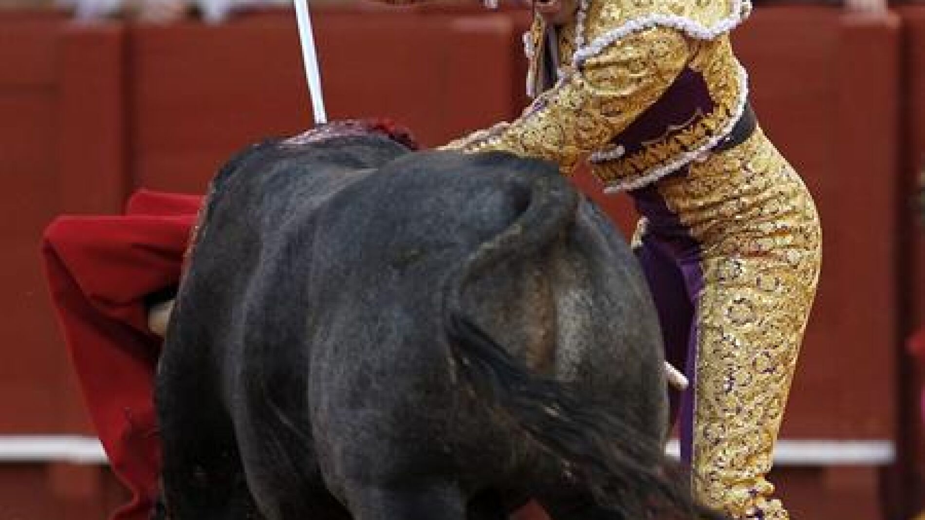 El diestro Salvador Cort&eacute;s