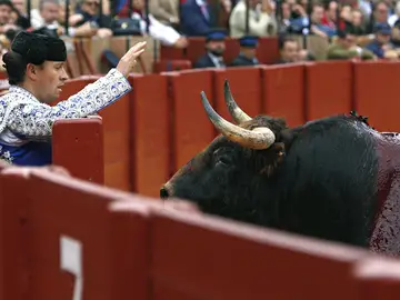 Suplicio de corrida en Sevilla Suplicio de corrida en Sevilla