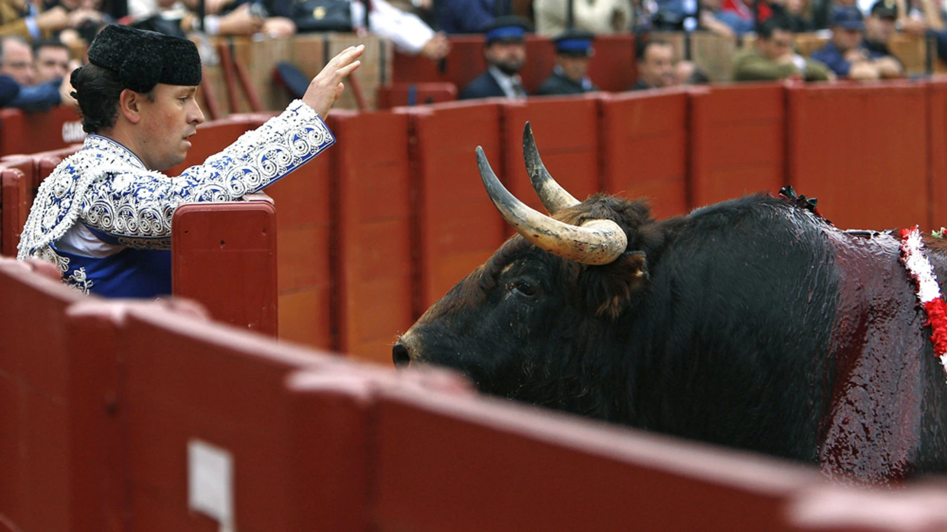 Suplicio de corrida en Sevilla Suplicio de corrida en Sevilla