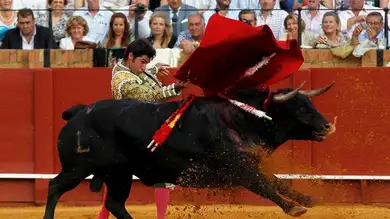 Oreja para Oreja para