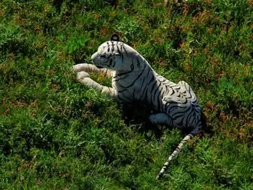 Tigre de peluche Tigre de peluche