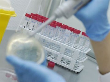 Laboratorio Laboratorio