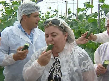 La consejera de Agricultura come pepinos andaluces La consejera de Agricultura come pepinos andaluces