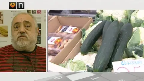 Miguel Vicente, profesor de investigación del CSIC Miguel Vicente, profesor de investigación del CSIC