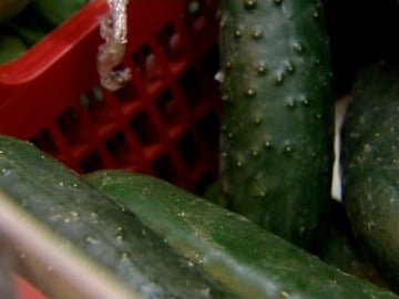 Canarias vigila la importación de "pepinos bacterianos"