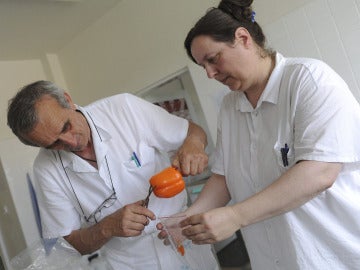 Investigadores de un Centro Nacional de Laboratorios de Referencia Investigadores de un Centro Nacional de Laboratorios de Referencia