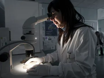 Una investigadora en un laboratorio. Una investigadora en un laboratorio.