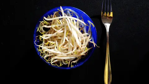 Brotes de soja Brotes de soja