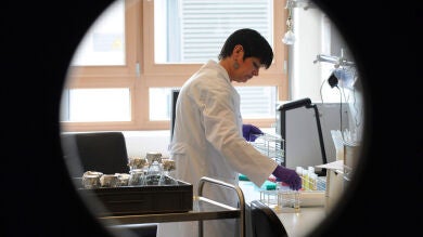 Llega a España un test de sangre que permite detectar sin riesgos el síndrome de Down