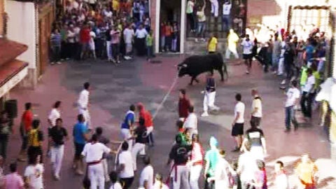 Toro enmaromado en Benavente