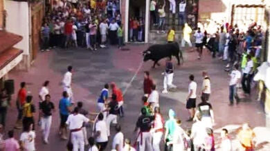 Benavente festeja la víspera del Corpus Christi con el 'toro enmaromado'