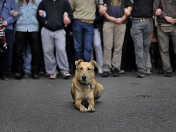 Loukanikos, el centro de la protesta