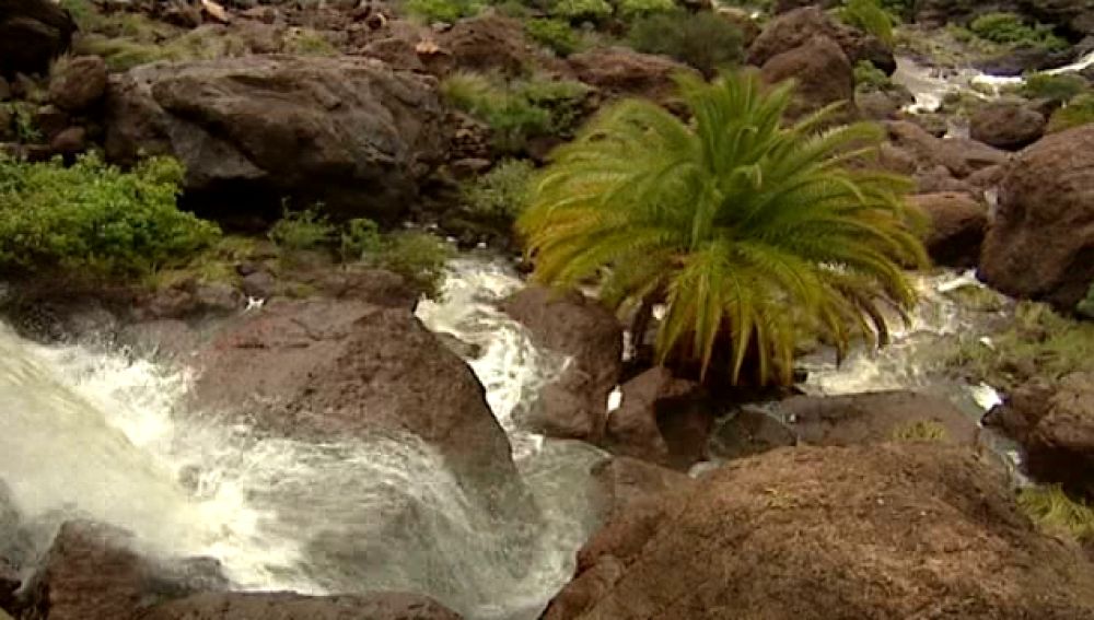 Veneguera: un símbolo de la lucha ecologista en Canarias