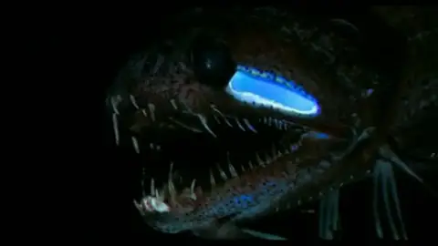 Las luces del océano Las luces del océano