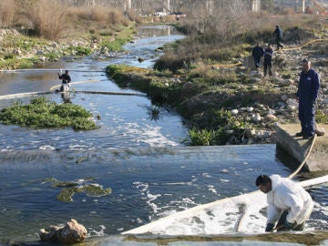 Vertido de hidrocarburo en la desembocadura del río Francolí