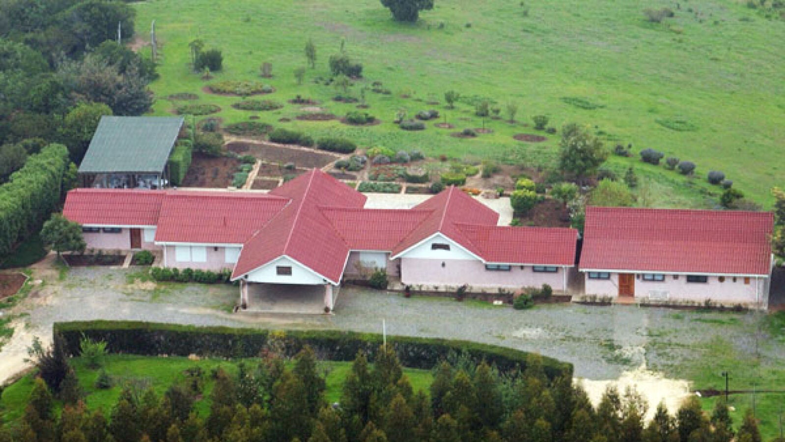 Encuentran una plantación de marihuana encima de la tumba de Pinochet